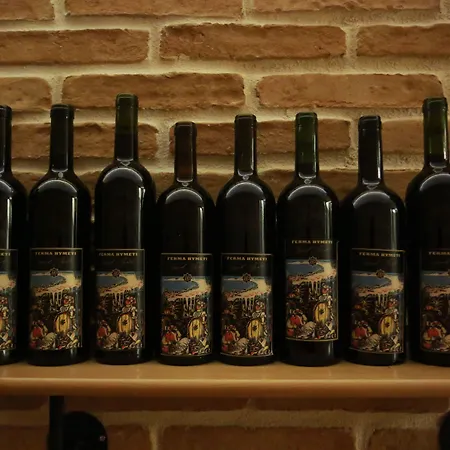 Otel Hymeti's Palace