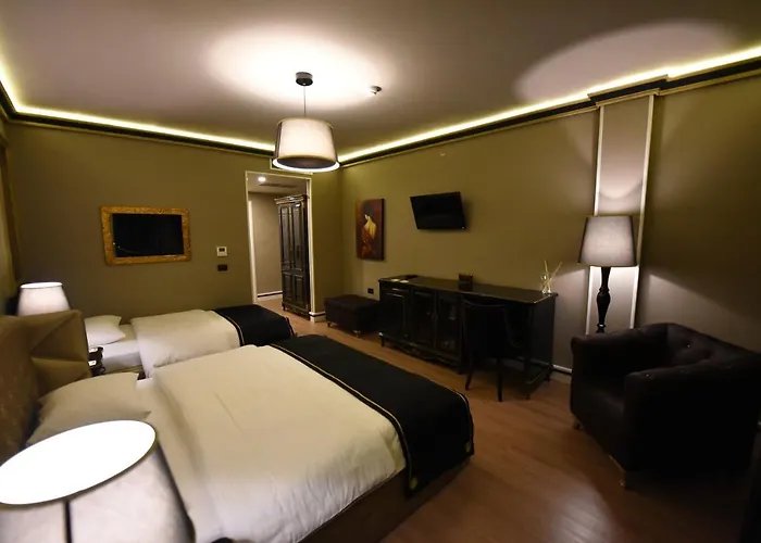 فندق Hymeti's Palace