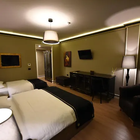 Hotell Hymeti's Palace