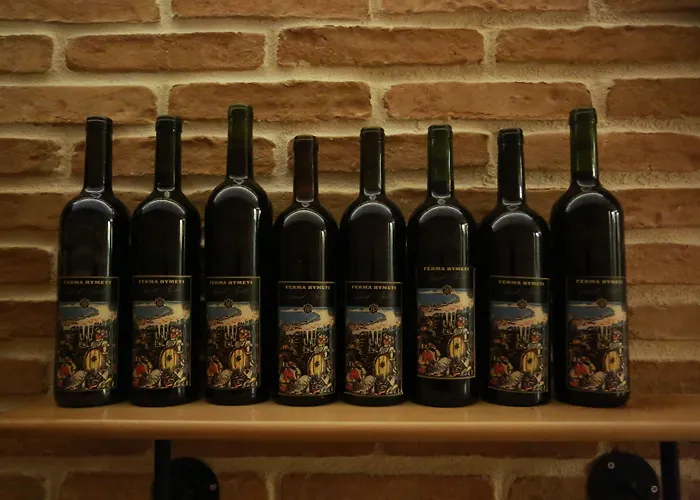 酒店 Hymeti's Palace
